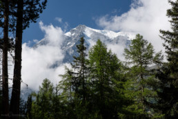 Trailhunter Vinschgau Sommertrip