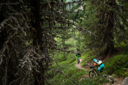 Trailhunter Vinschgau Sommertrip